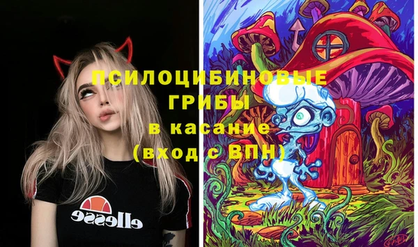 дживик Абинск