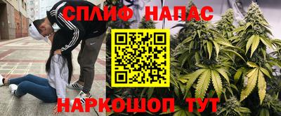 индика Долгопрудный