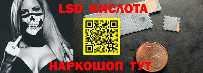 индика Долгопрудный