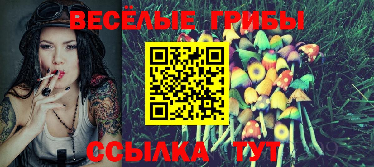 Галлюциногенные грибы Cubensis  Вход с VPN  Дятьково 